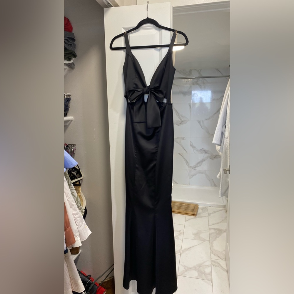 Feleppa Gown - image 1